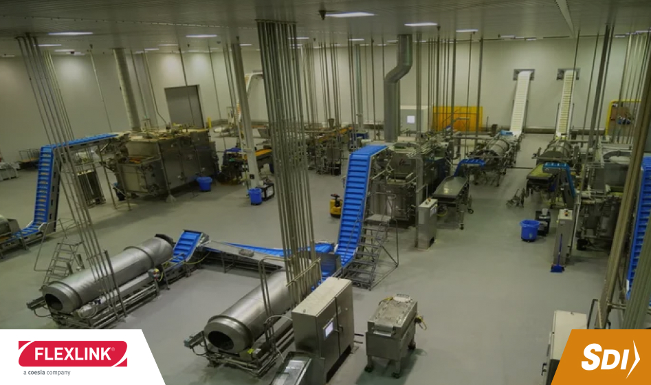 3 puntos donde la automatización de conveyors reduce el tiempo muerto en planta